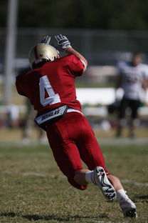 爱游戏app注册-法甲球队防守战术调整后定位球防守成功率提升分析，法国防守